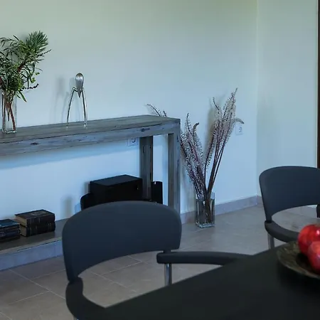 Apartament Paganea's House *